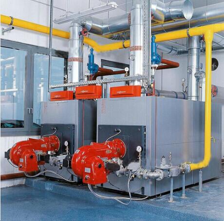 河南郸城薯业2台6吨低氮燃气锅炉